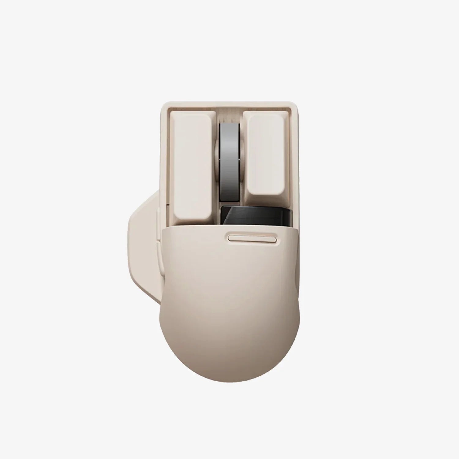 Mouse_Tofu_PI01.webp